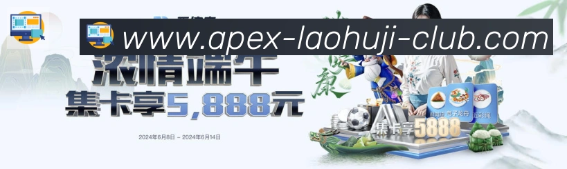 未来规划